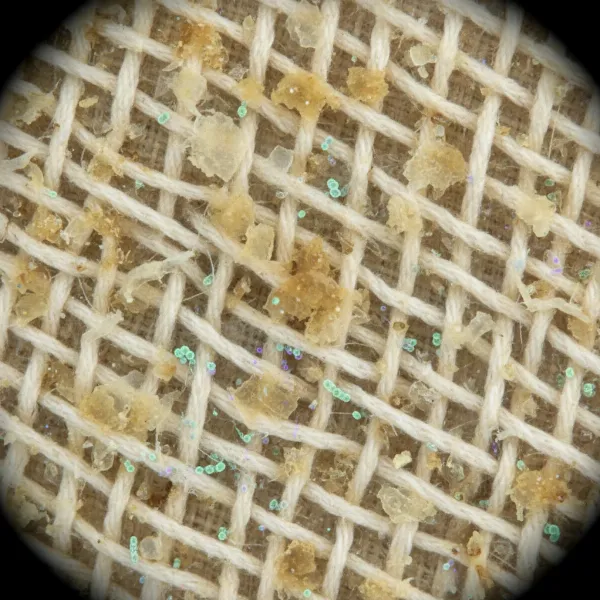 Close-up of a dirty pillow with microscopic bacteria and sweat causing yellow stains and odors
